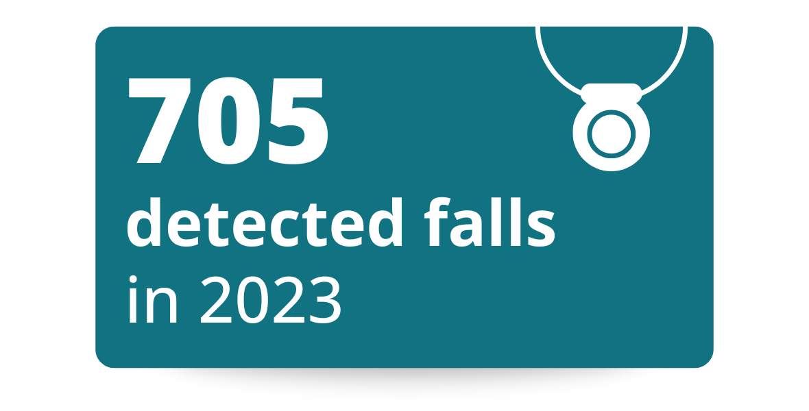 2023 Stats-Falls Detected
