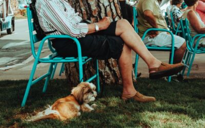 Dogs for Seniors: Great for Physical and Mental Health