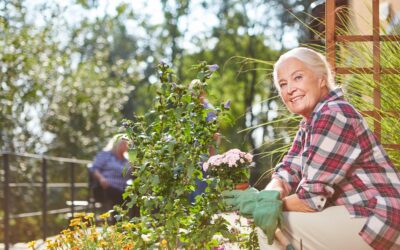 Spring Activities You Can Do Outside To Promote Active Aging