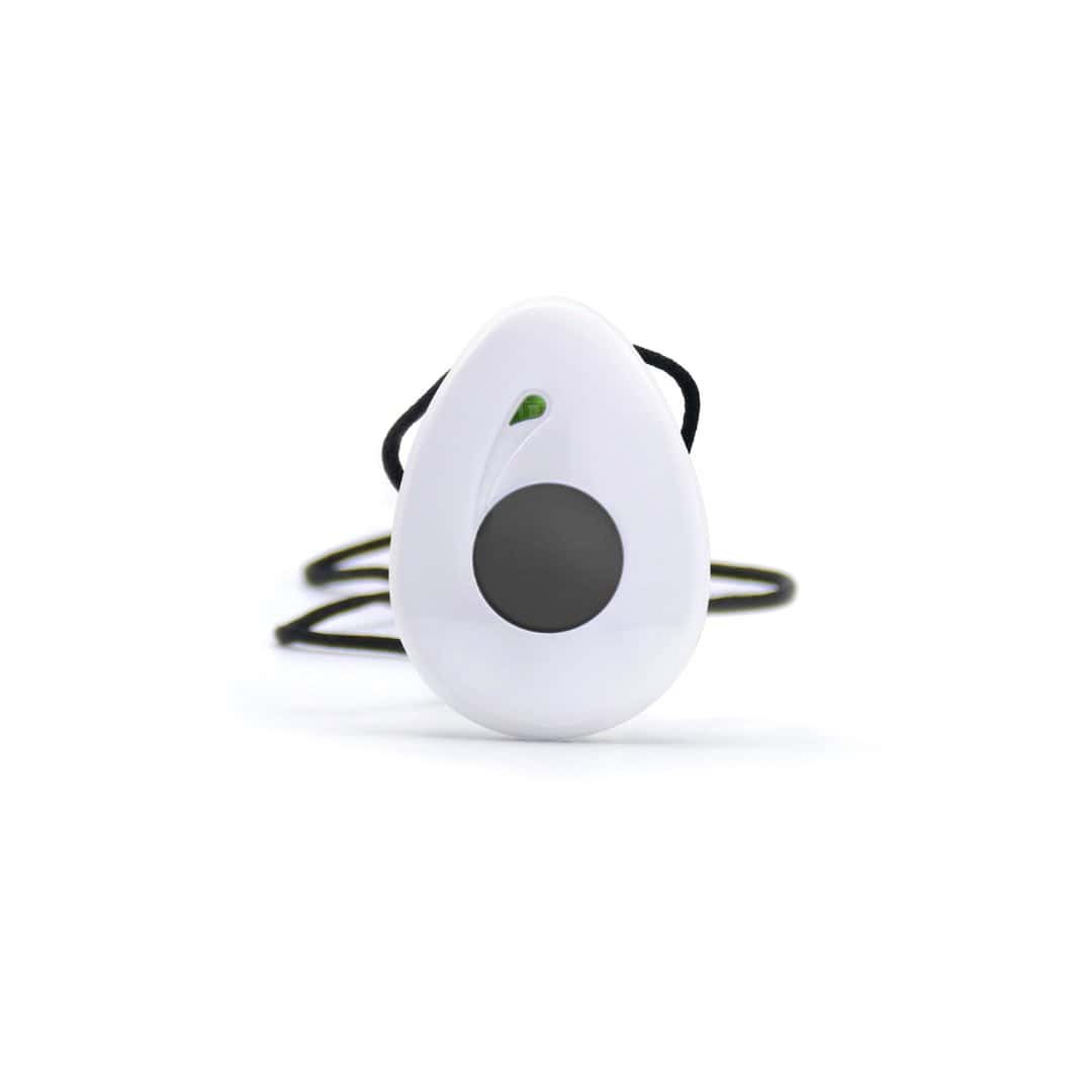 HomeSafe with Fall Detection Option_Subsidy Program HomeSafe with Fall Detection Option_Subsidy Program