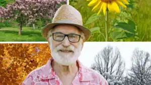 Blog Cover- Seasonal Safety Tips to Help Seniors Stay Safe Year-Round